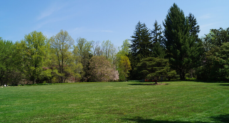 large lawn with a few trees